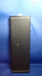Fender/Ricky Bass case