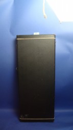 Gibson Firebird Case